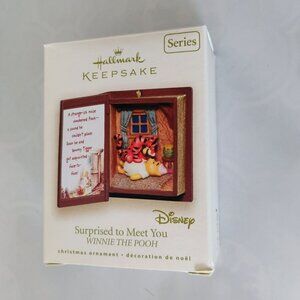Hallmark Keepsake 2007 Christmas Ornament Surprised To Meet You Winnie The Pooh